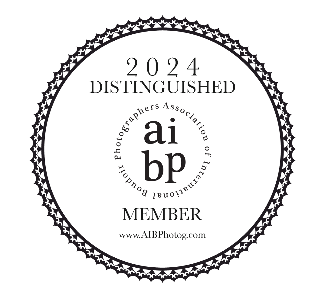 AIBP-2024-Distinguished-Member-Transparent badge